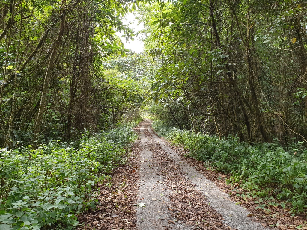 2019-12-06 11.57.18.jpg