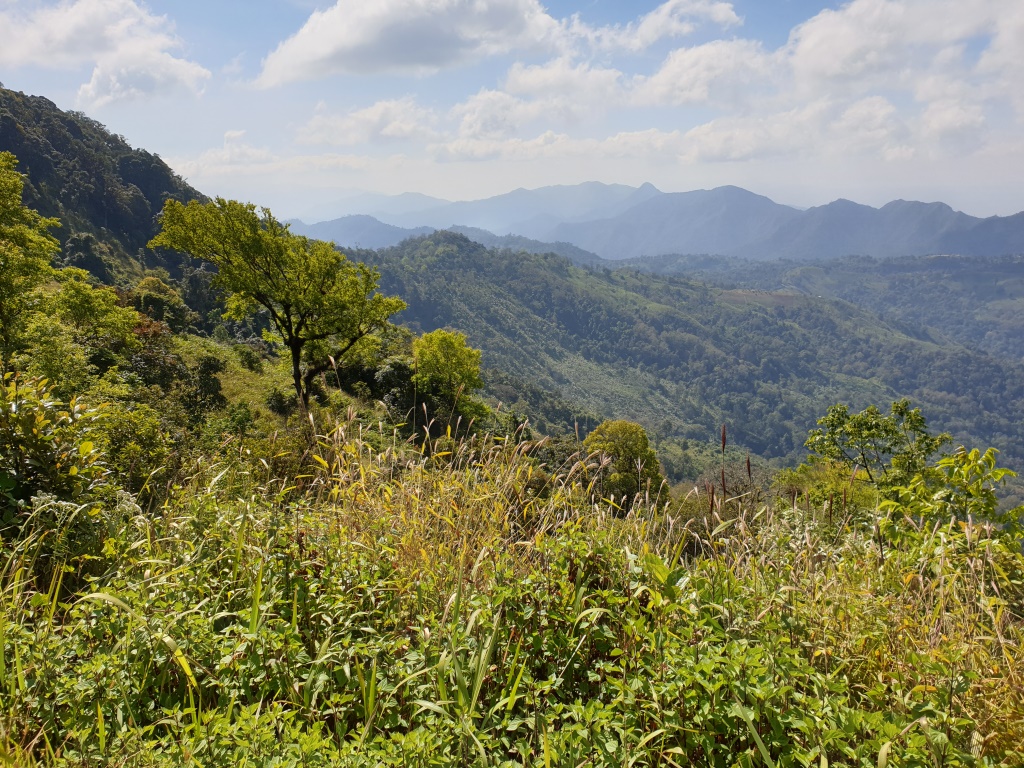 2019-12-06 12.16.19.jpg