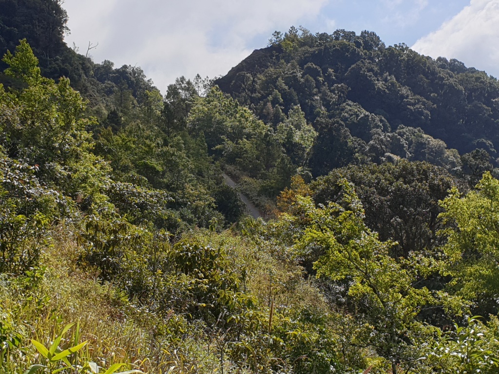 2019-12-06 12.16.56.jpg