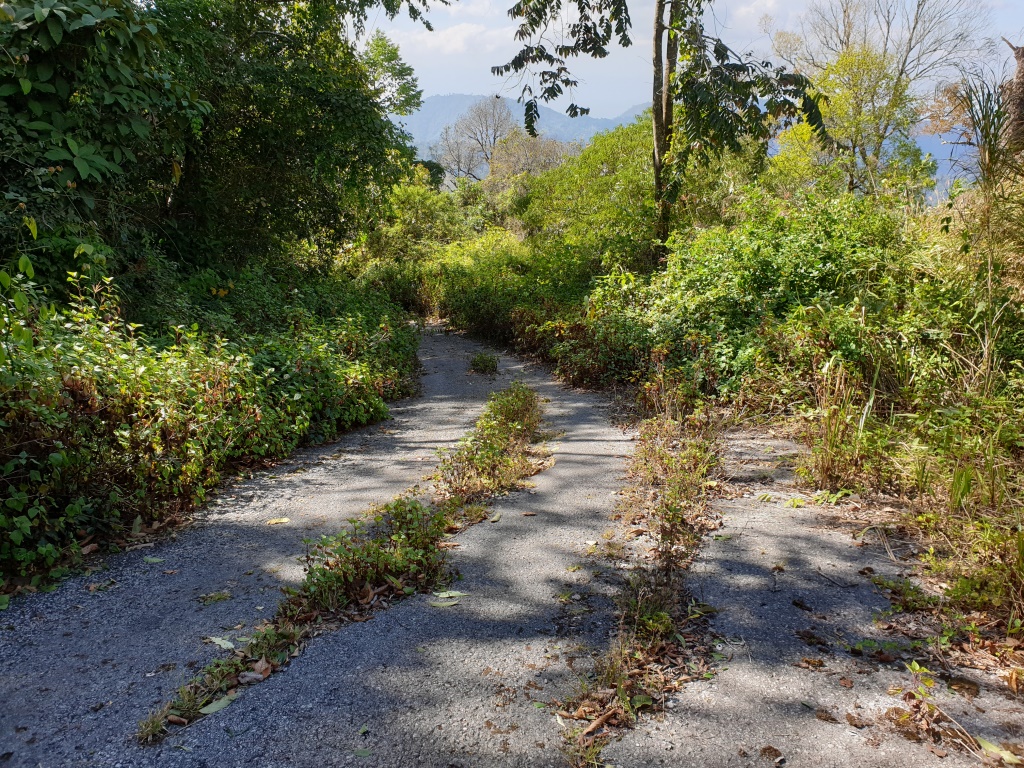 2019-12-06 12.25.29.jpg