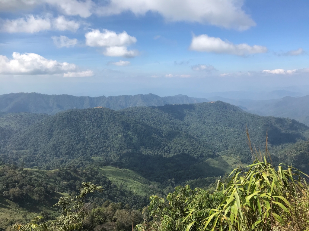 2019-12-06 12.37.24.jpg