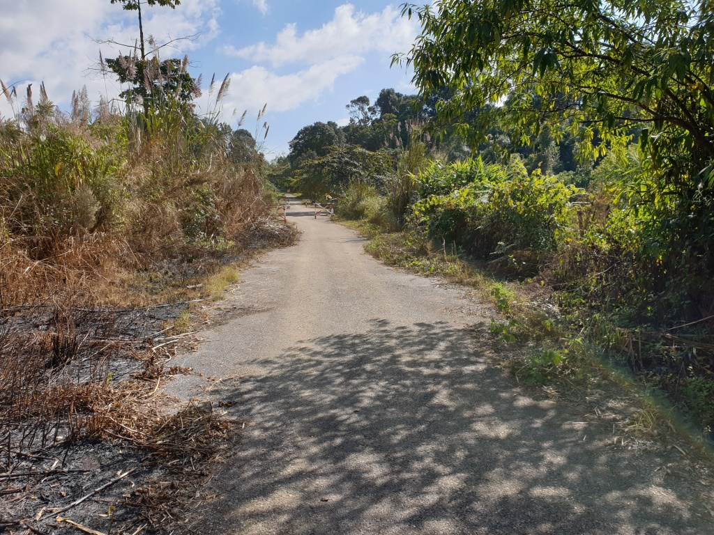 2019-12-06 13.15.18.jpg