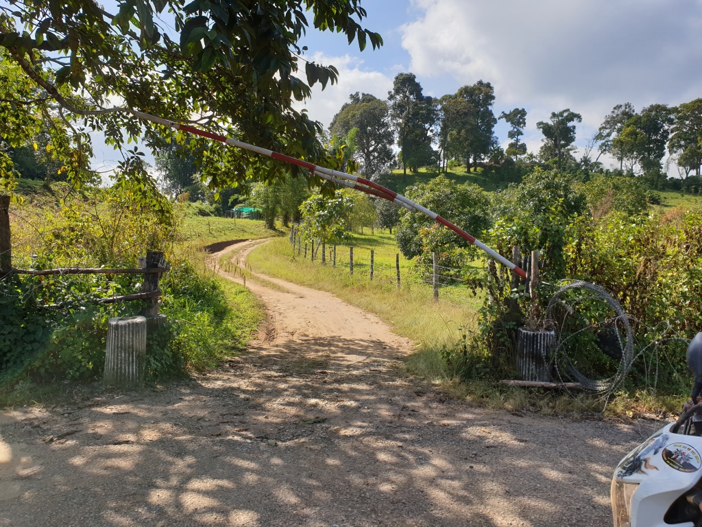 2019-12-06 13.16.21.jpg