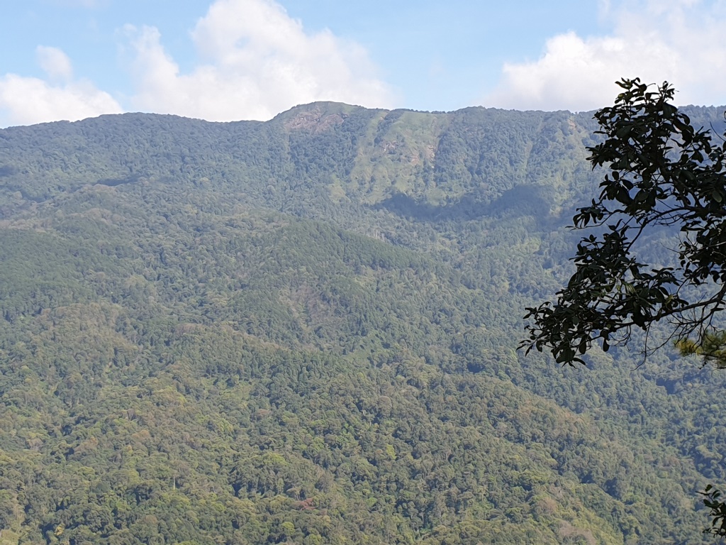 2019-12-06 13.48.10.jpg