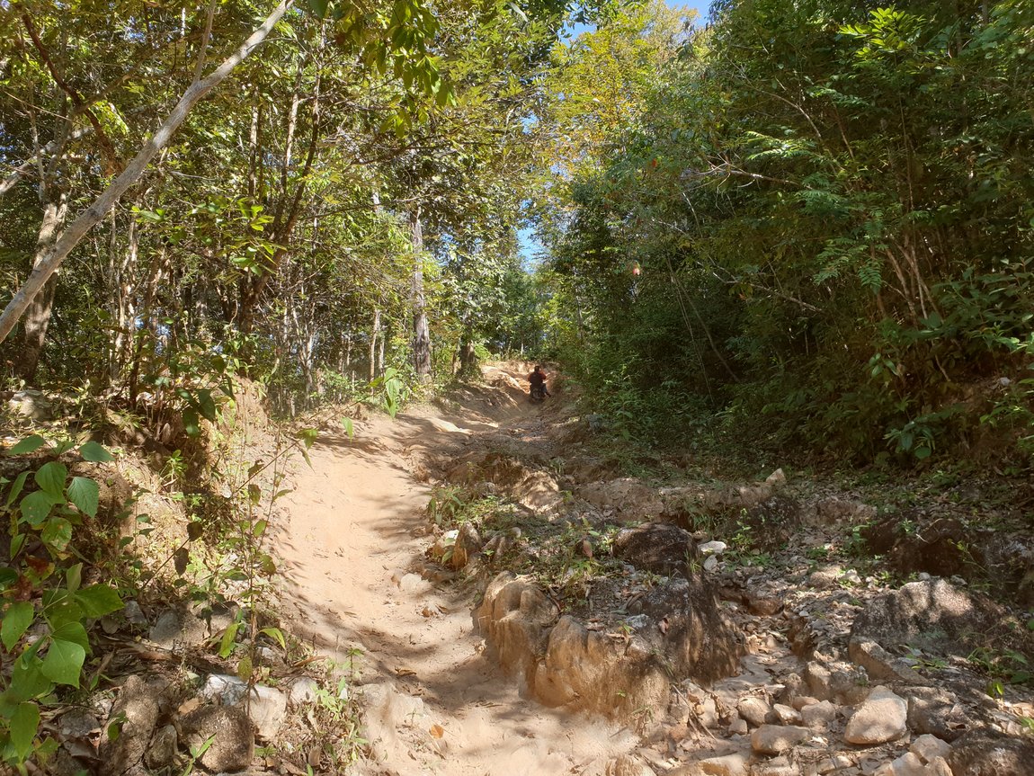 2019-12-11 11.13.33.jpg