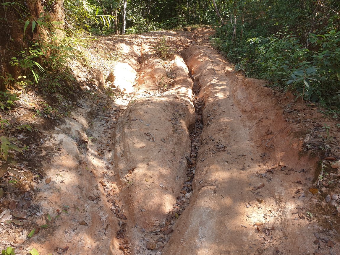 2019-12-11 11.29.10.jpg