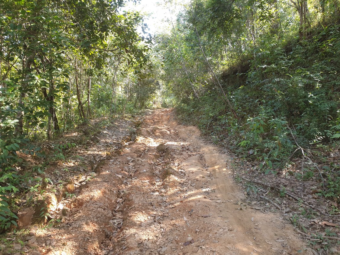 2019-12-11 11.29.39.jpg