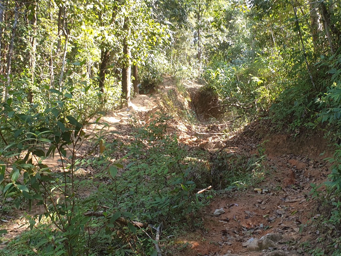 2019-12-11 11.30.48.jpg