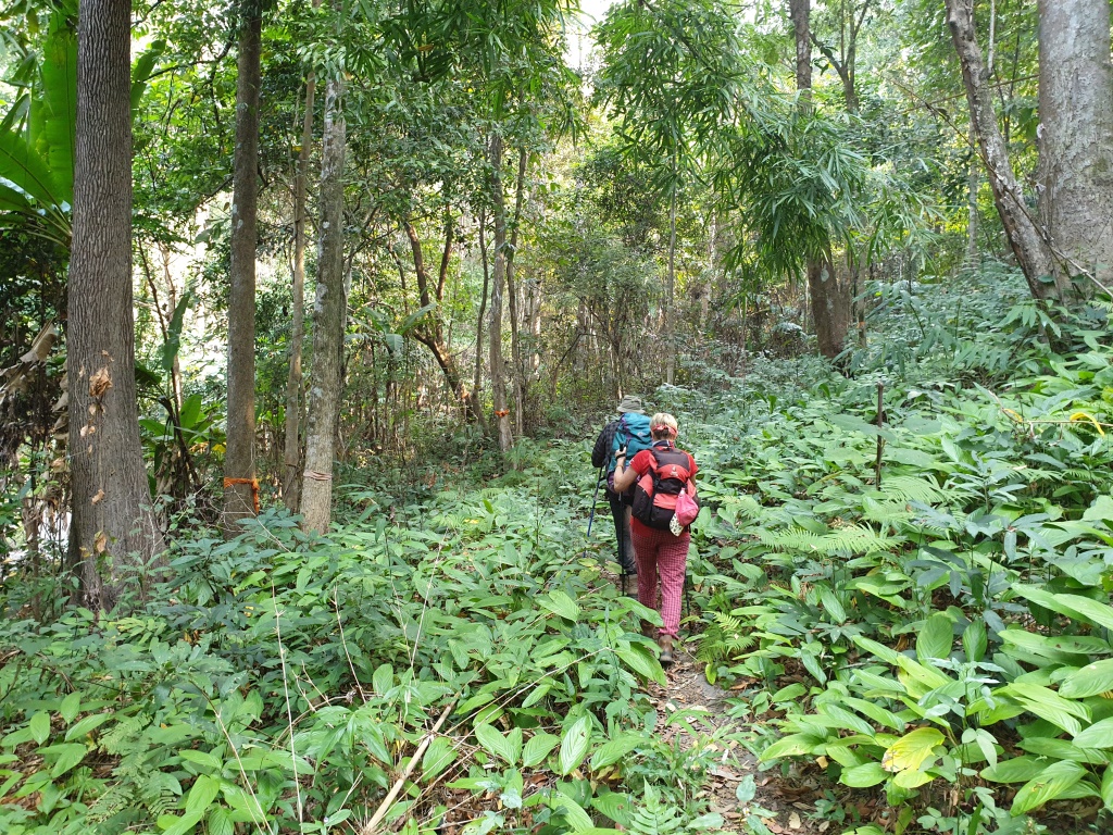 2020-01-19 10.05.00.jpg