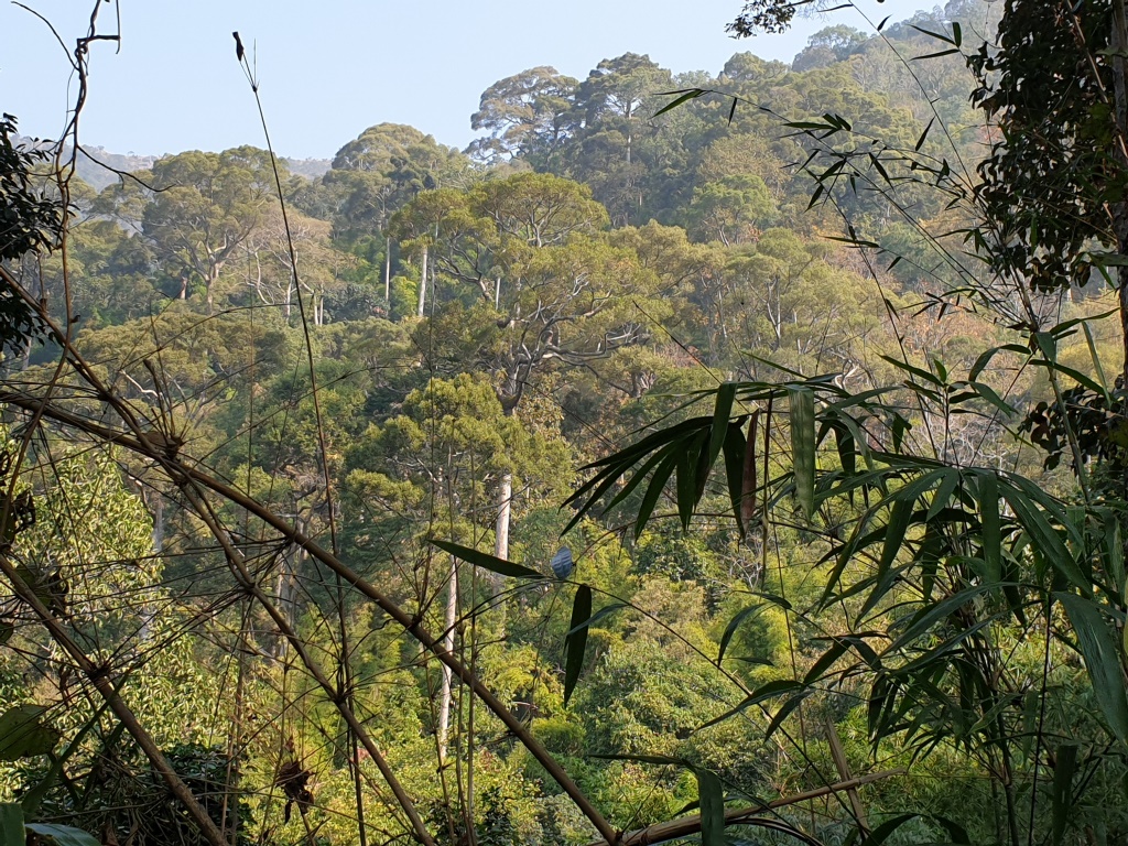 2020-01-19 10.29.05.jpg