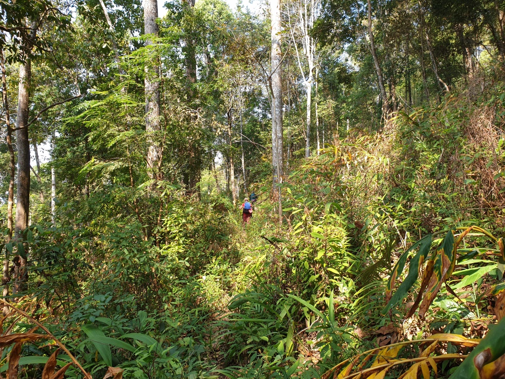 2020-01-19 11.29.29.jpg