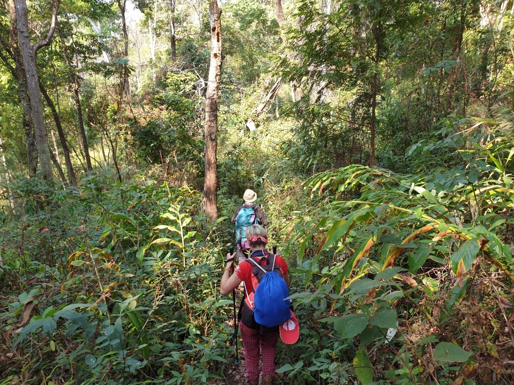 2020-01-19 11.30.29.jpg