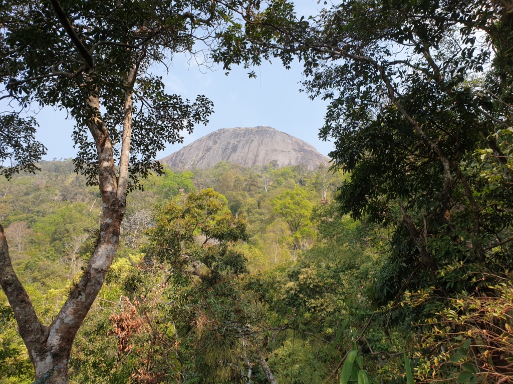 2020-01-19 12.16.52.jpg