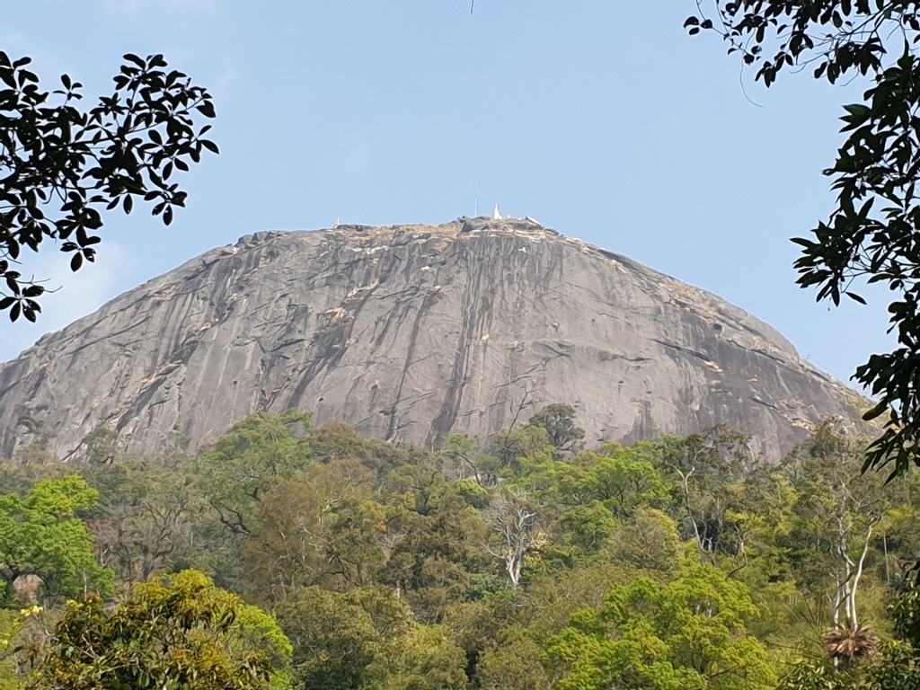 2020-01-19 12.17.05.jpg