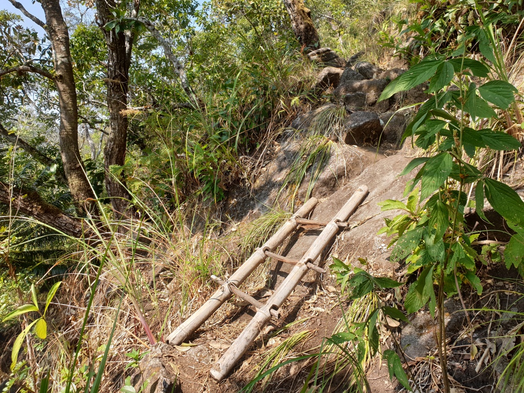 2020-01-19 12.58.18.jpg