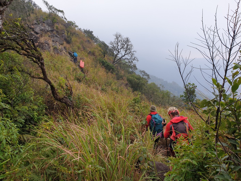 2020-01-20 08.47.03-1.jpg