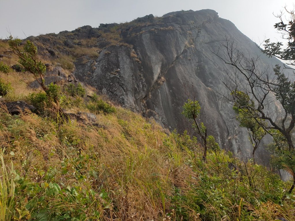 2020-01-20 09.44.56.jpg