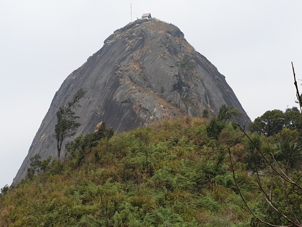 2020-01-20 10.10.52-1.jpg