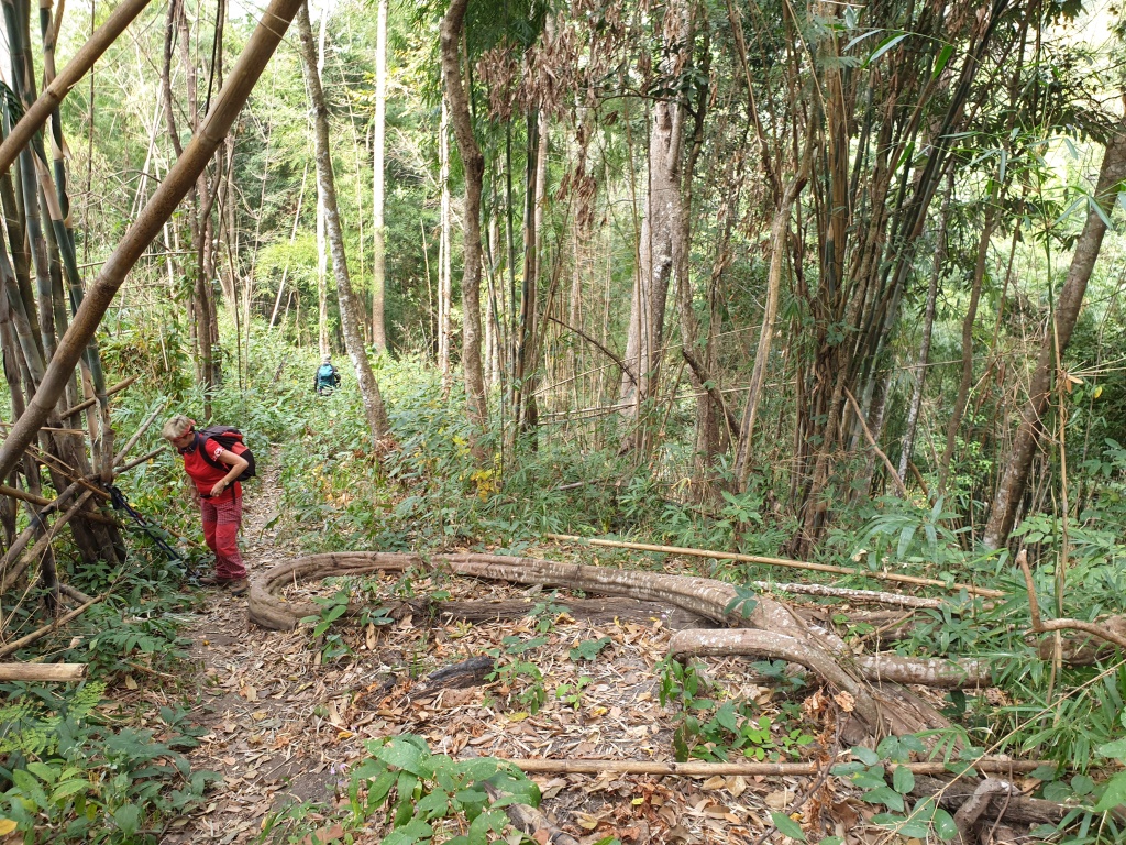 2020-01-20 12.10.49-1.jpg