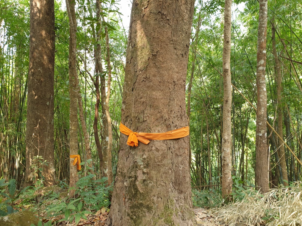 2020-01-20 12.15.22.jpg