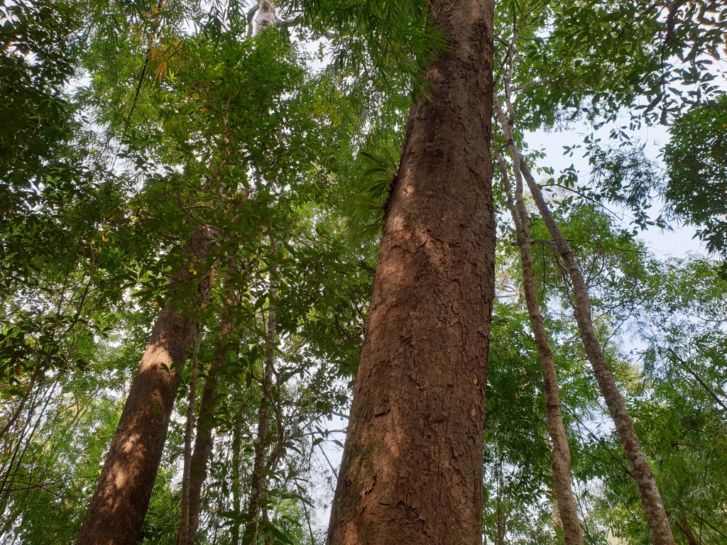 2020-01-20 12.15.29-1.jpg