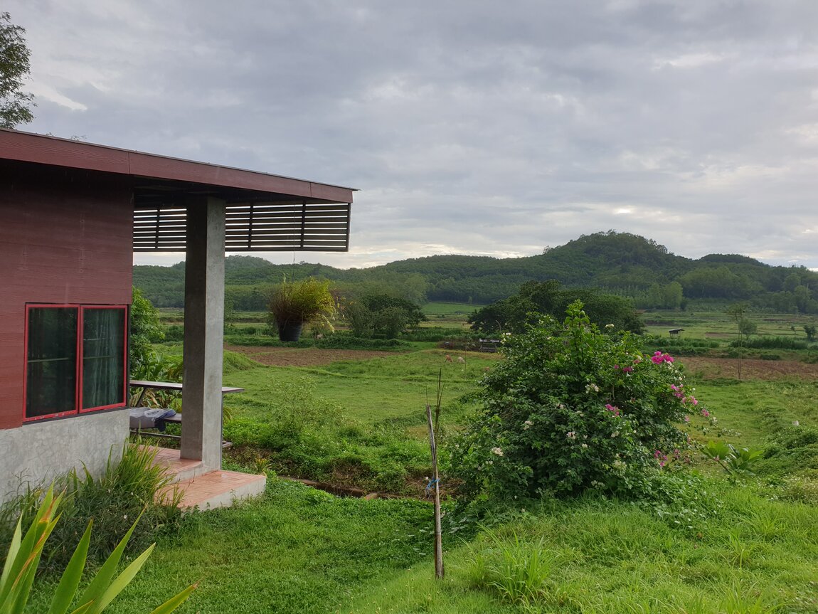 2020-06-15 16.53.58.jpg 2020-06-15 16.53.58.jpg