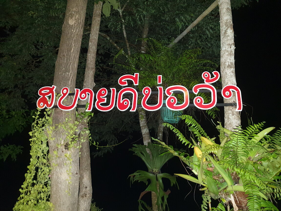 2020-06-15 21.51.33.jpg 2020-06-15 21.51.33.jpg