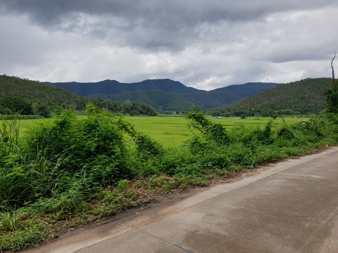 2020-09-21 14.17.36.jpg