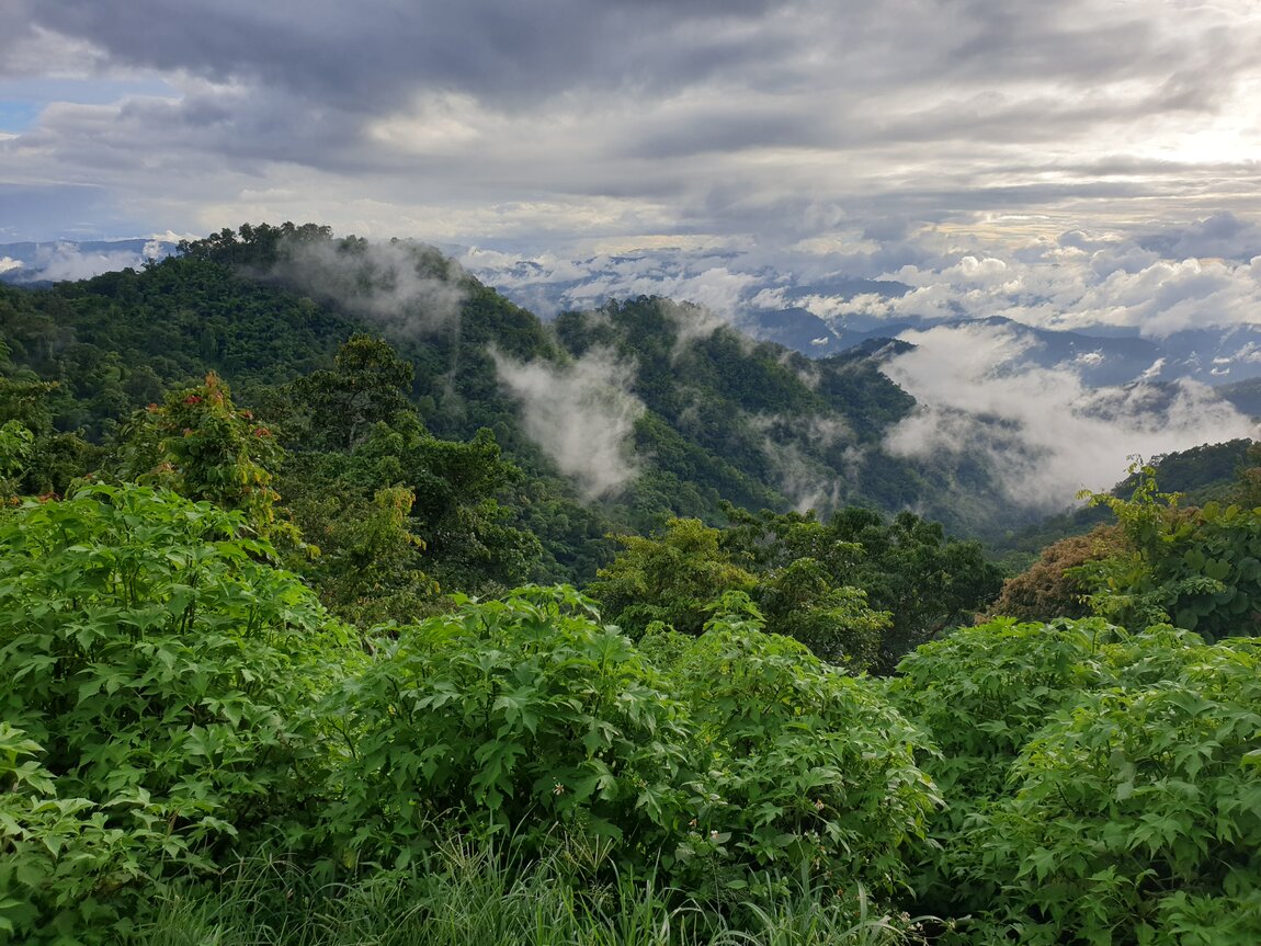 2020-09-21 17.14.47.jpg