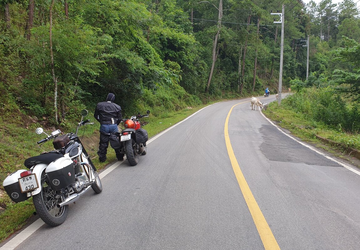 2020-09-22 07.41.17.jpg