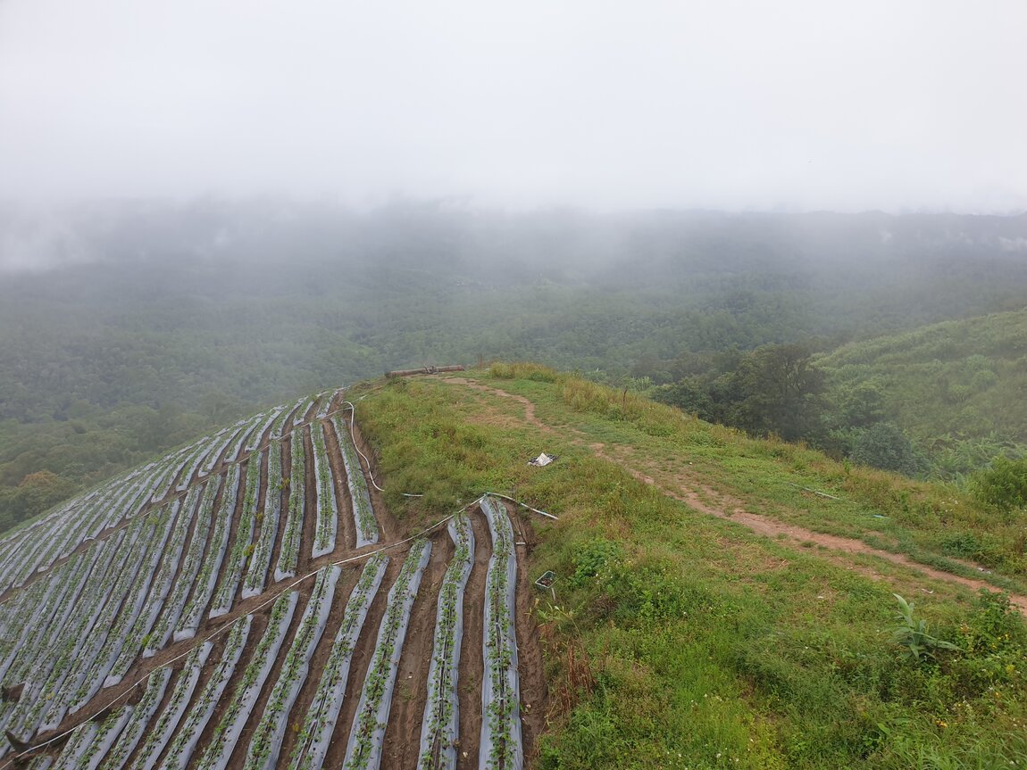 2020-09-22 08.40.20.jpg