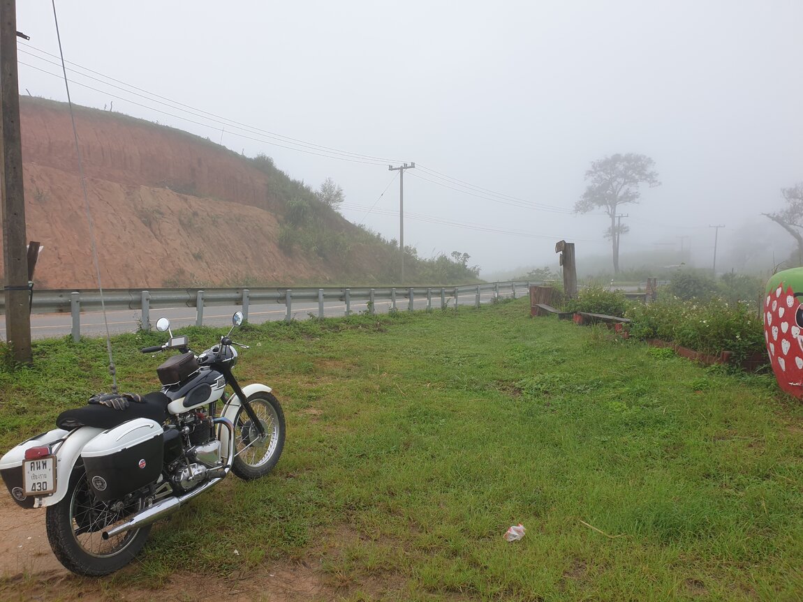 2020-09-22 08.40.42.jpg