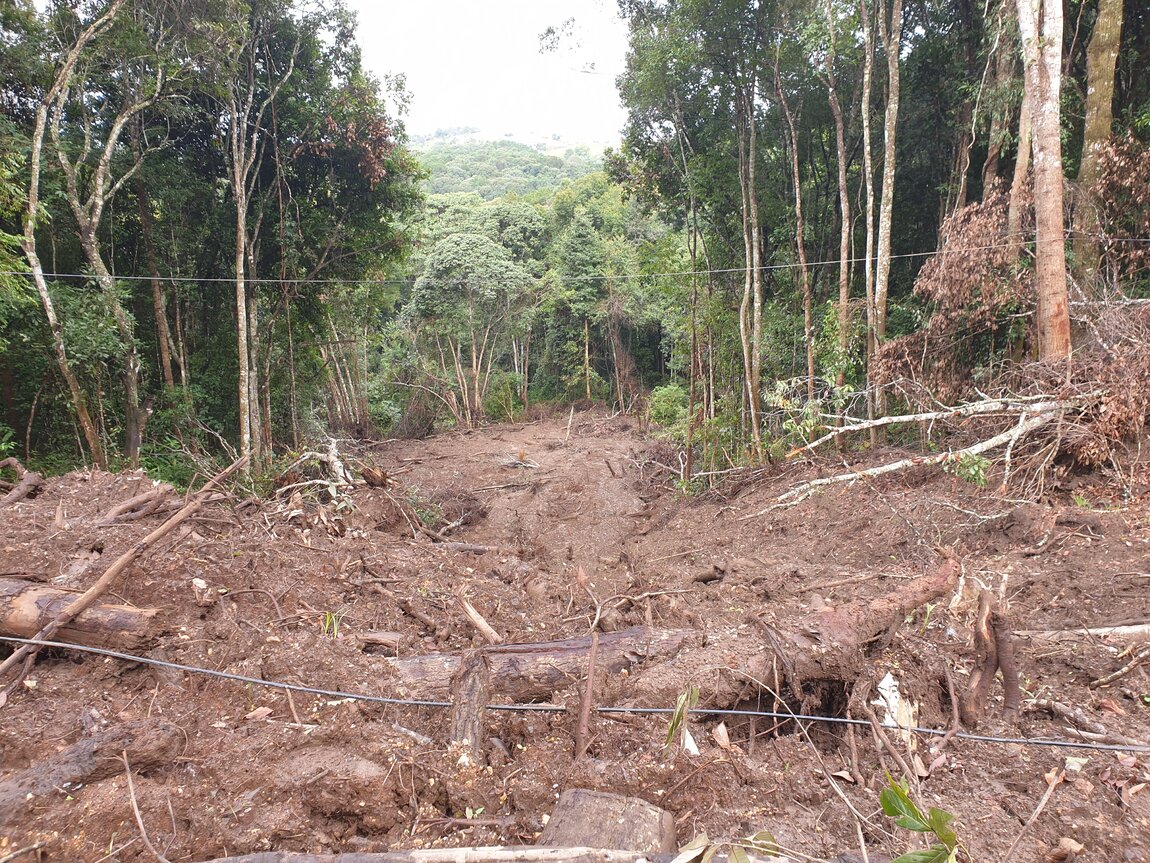 2020-09-22 08.59.25.jpg