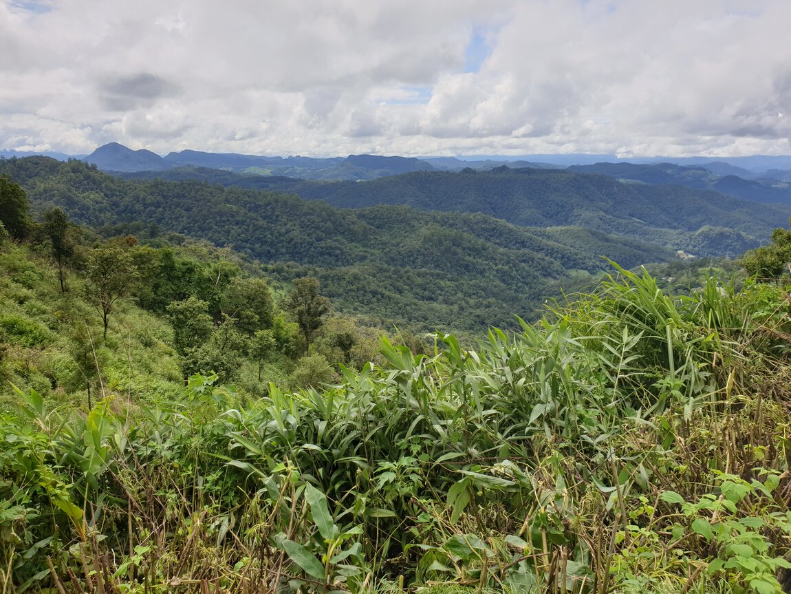 2020-09-22 14.25.12.jpg