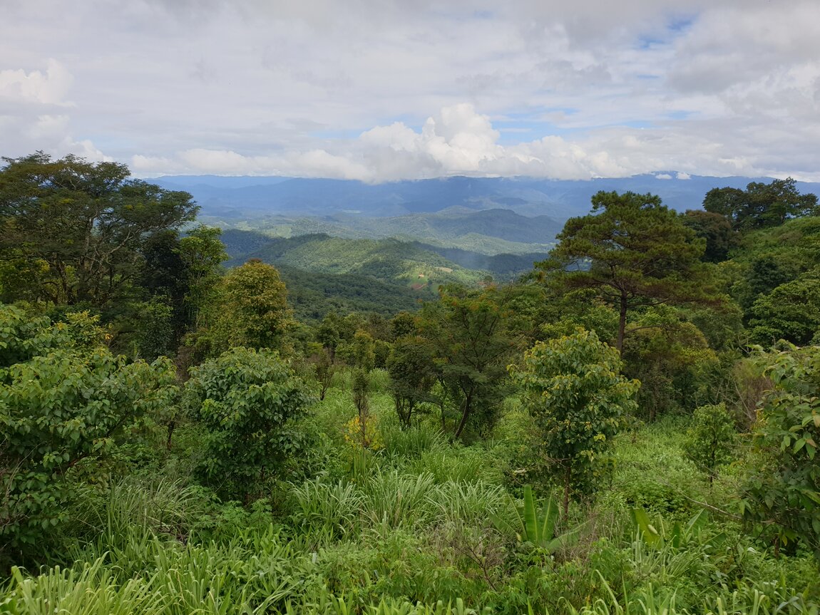 2020-09-22 14.27.00.jpg