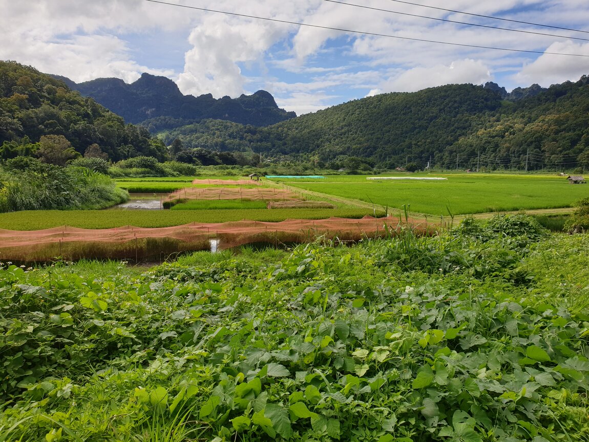 2020-09-22 15.00.52.jpg