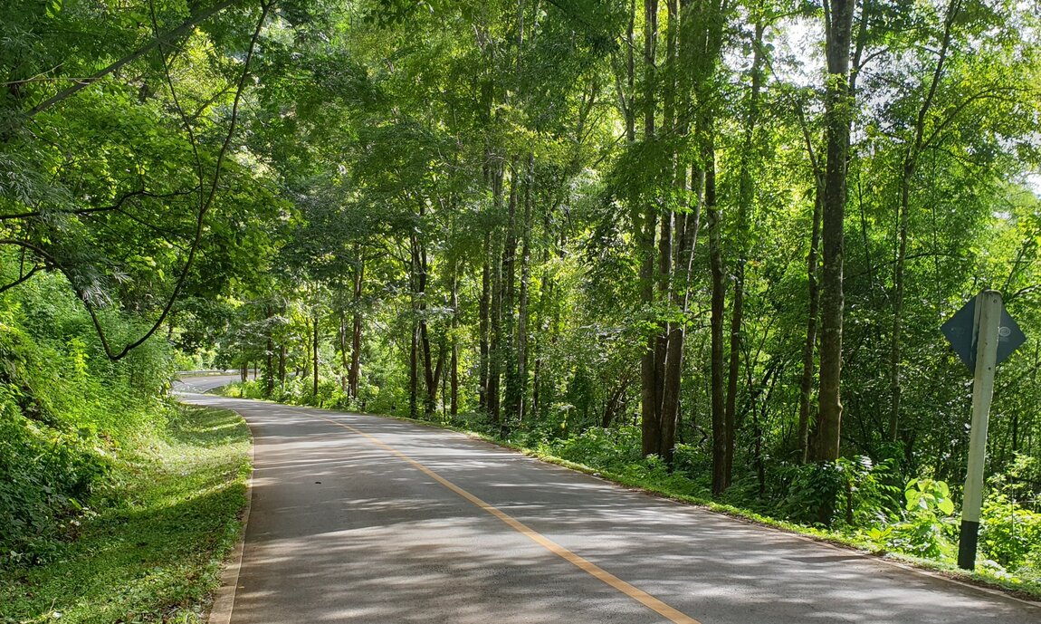 2020-09-22 15.19.04.jpg