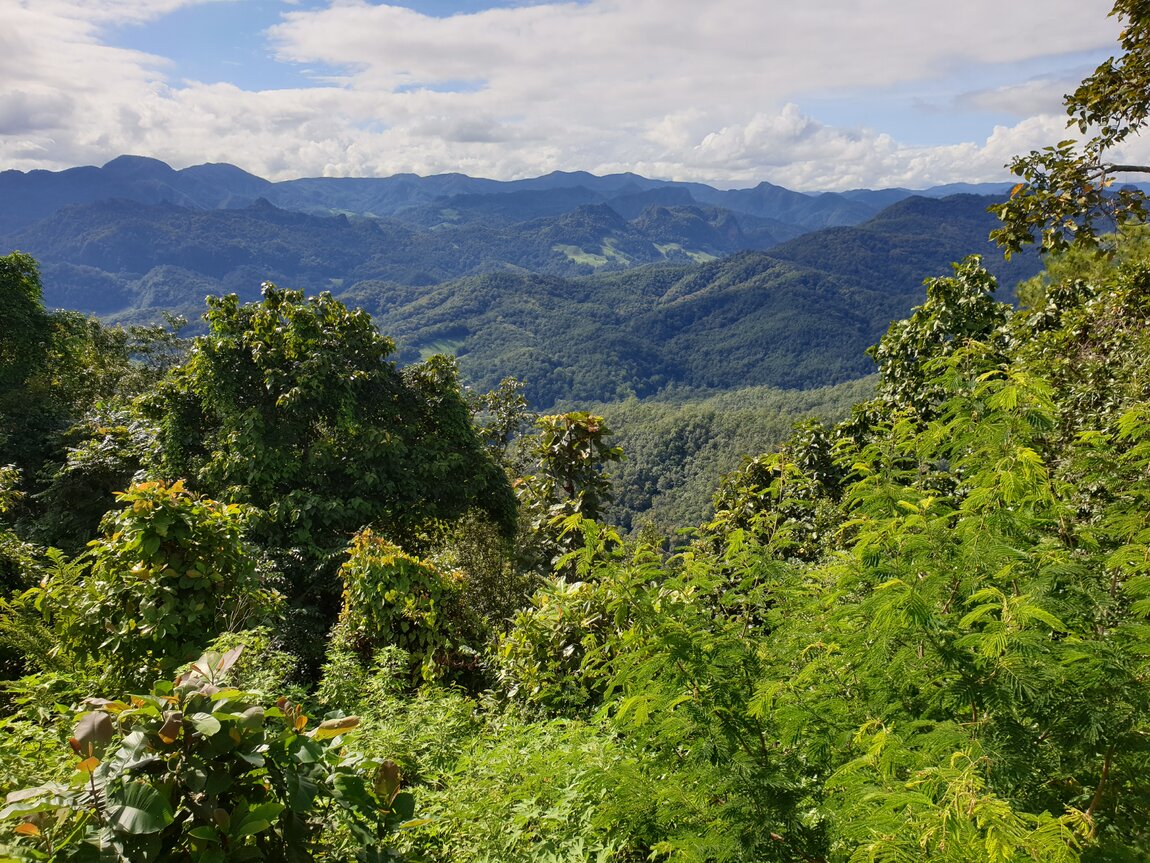 2020-09-22 15.23.25.jpg