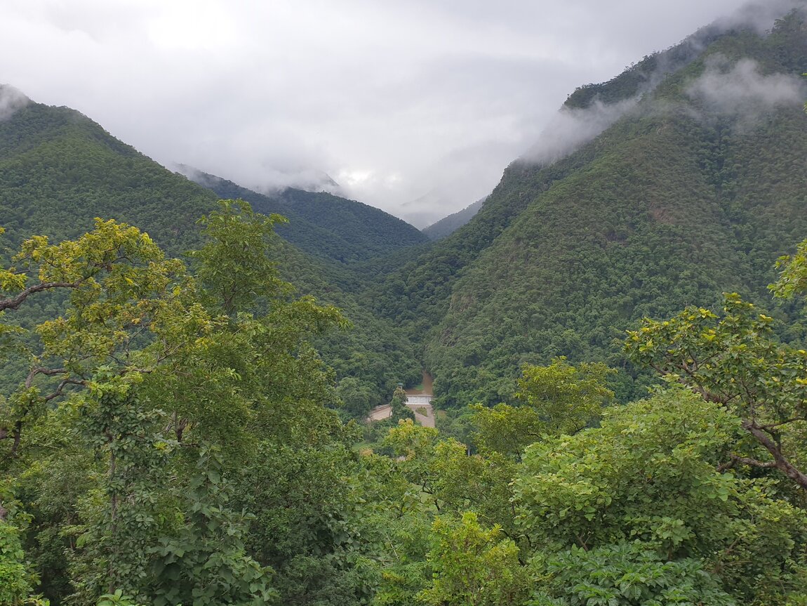 2020-09-23 08.37.04.jpg