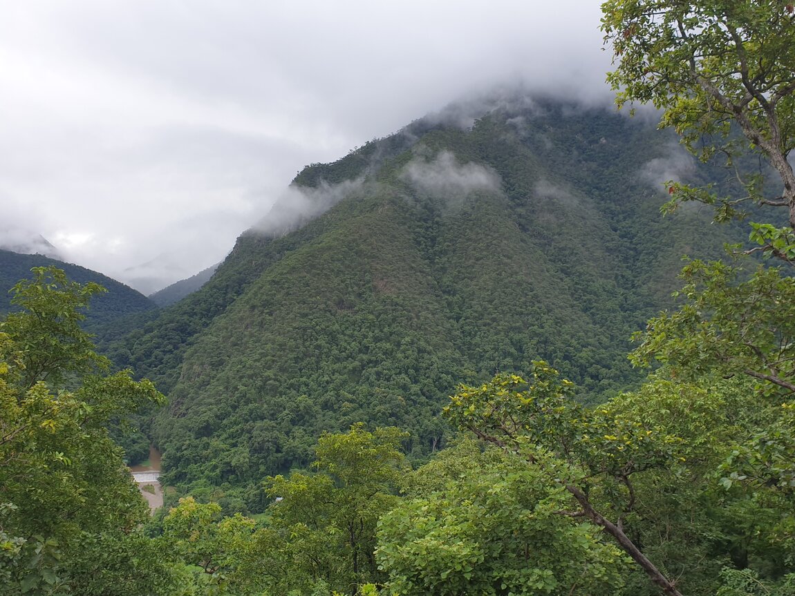 2020-09-23 08.37.16.jpg