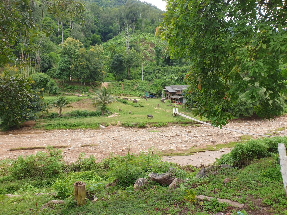 2020-09-23 15.38.40.jpg