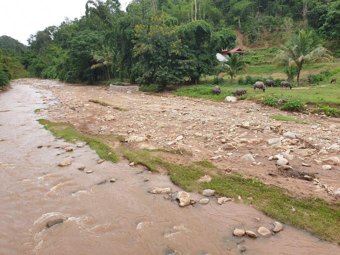 2020-09-23 16.01.52.jpg