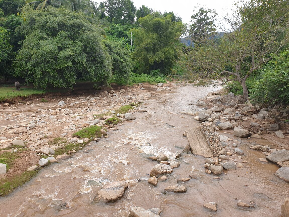 2020-09-23 16.02.02.jpg