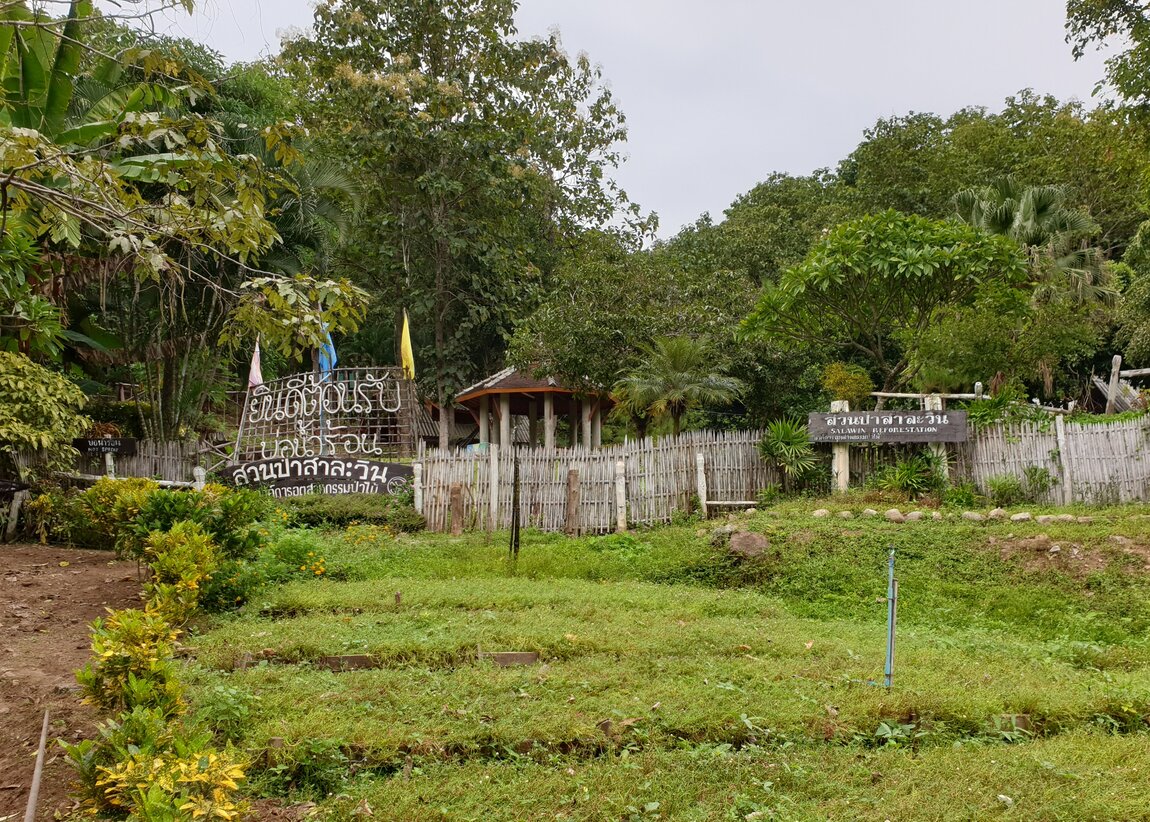 2020-09-23 16.02.36.jpg