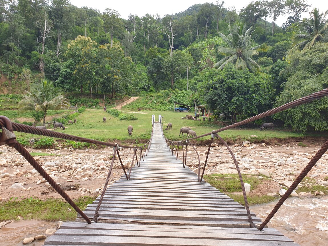 2020-09-23 16.03.39.jpg