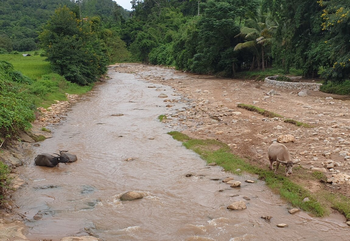 2020-09-23 16.04.36.jpg