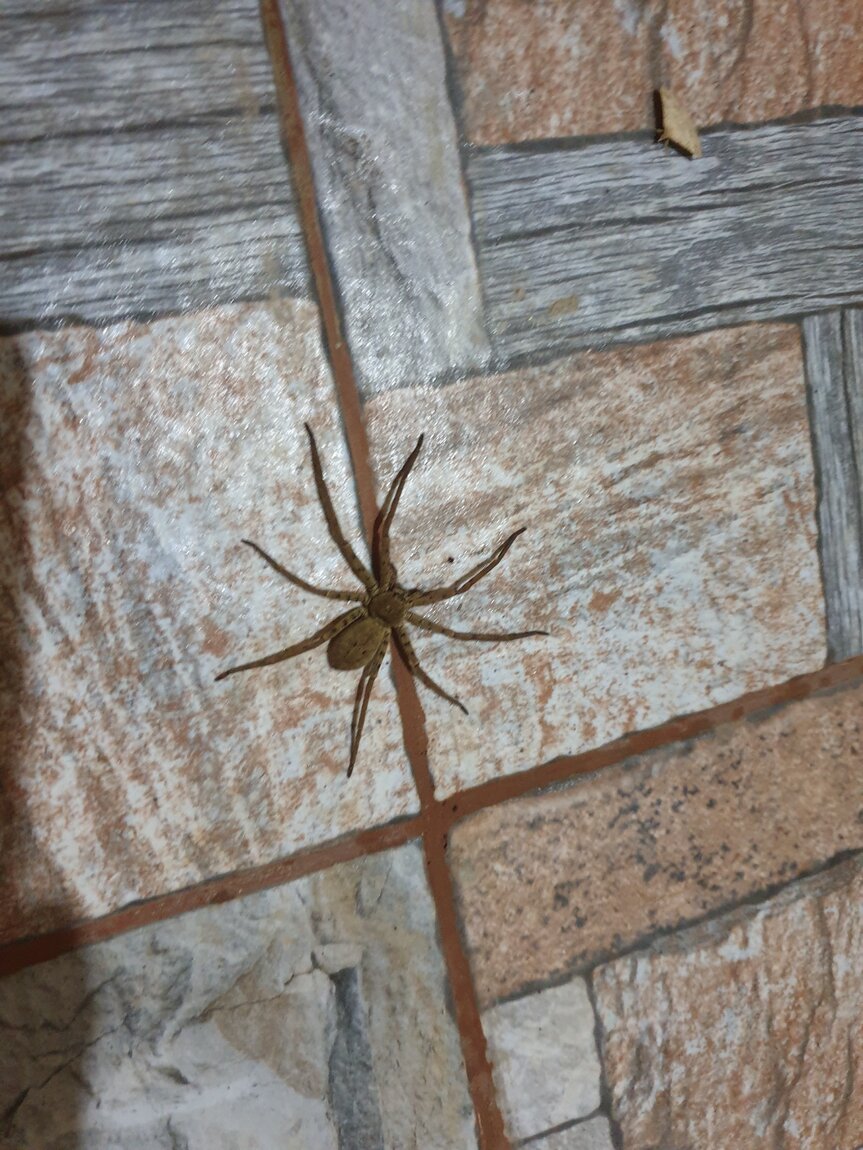 2020-09-24 01.53.24.jpg