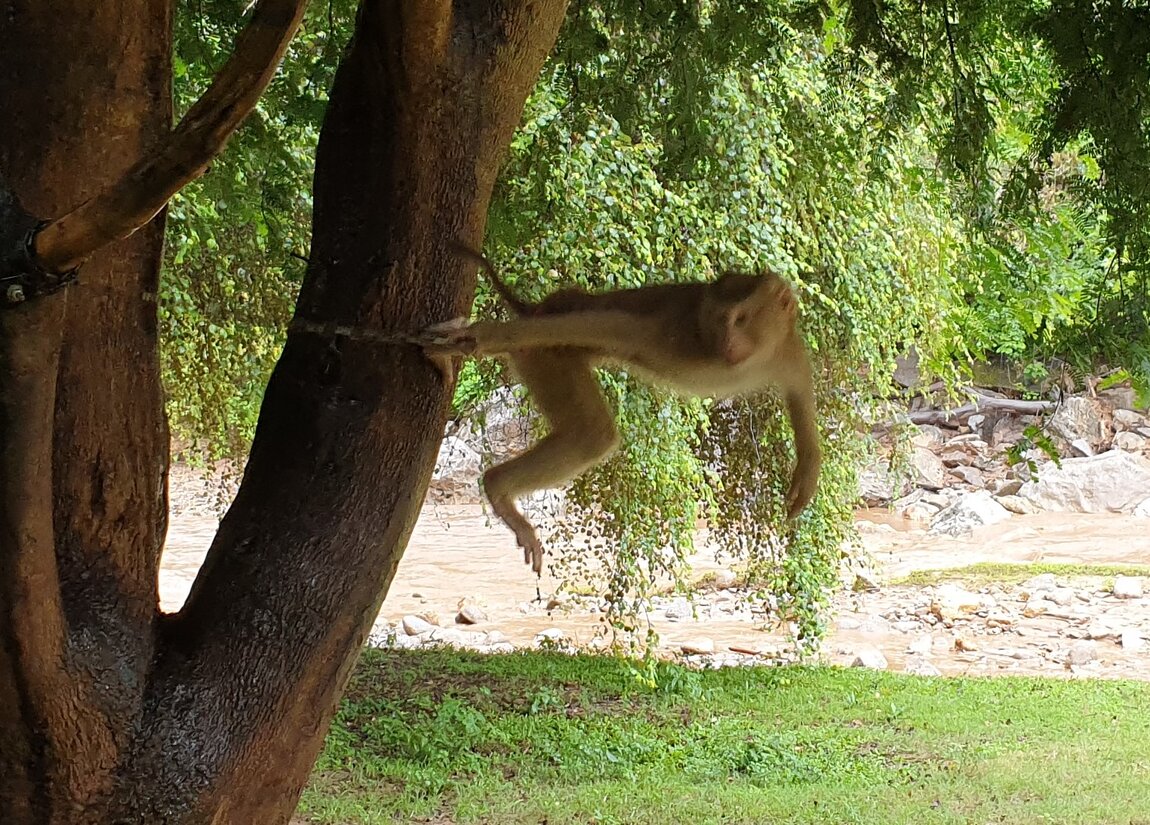 2020-09-24 08.04.52.jpg