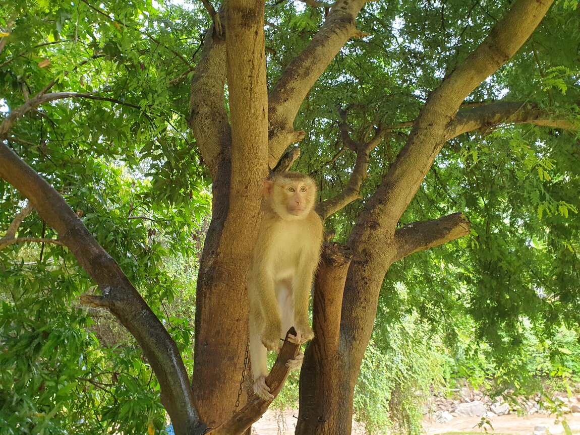 2020-09-24 08.05.19.jpg