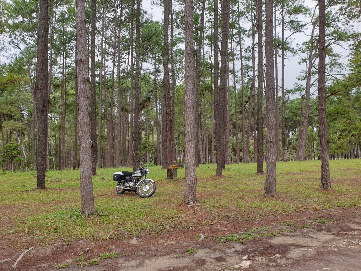 2020-09-24 10.10.27.jpg